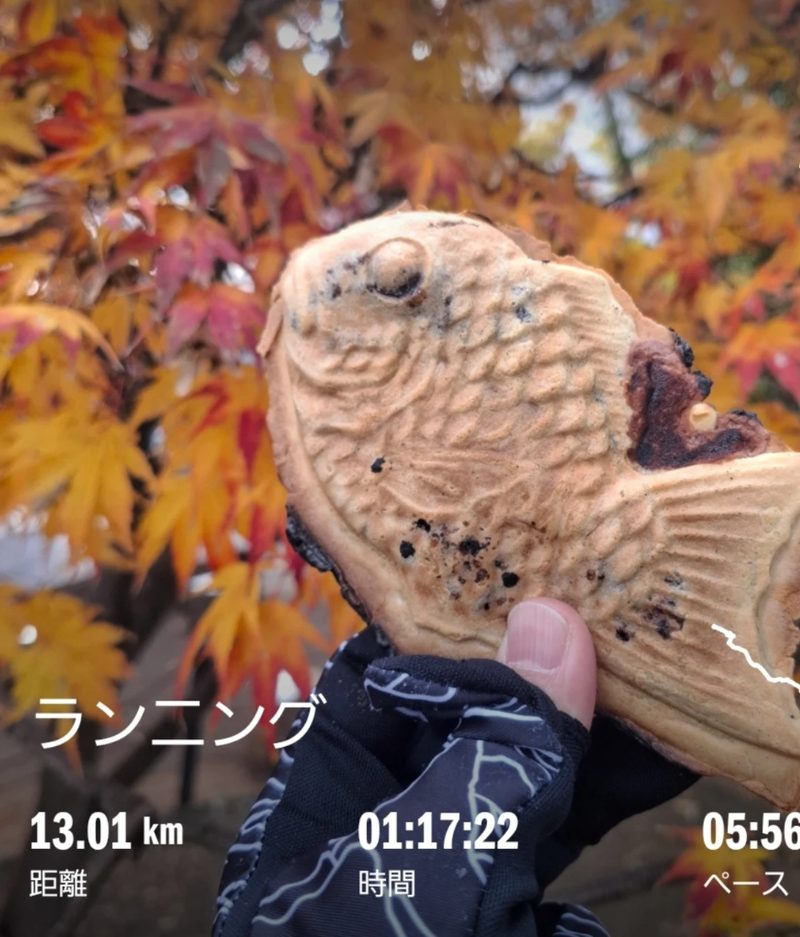 紅葉の中でたい焼きを持つ手とランニング記録